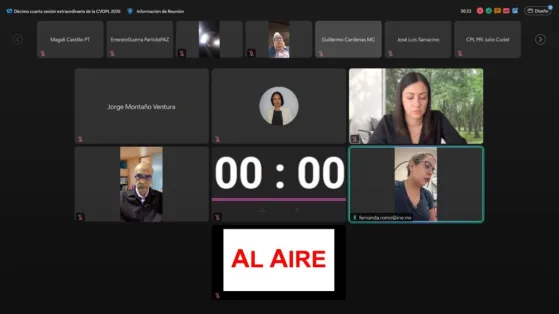 INE aprueba calendario de entrevistas para aspirantes a OPL